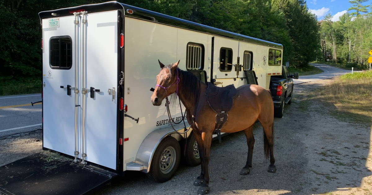 10 Veterinarian Approved Tips to Make Traveling with Horses Easier